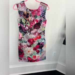 Ted Baker London Floral Dress